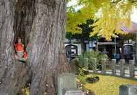 ⑥子安地藏