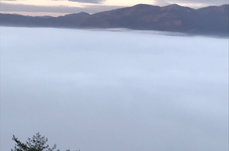 雲海③