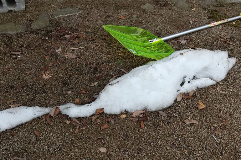 標本雪①