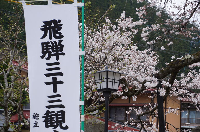 DSC00049