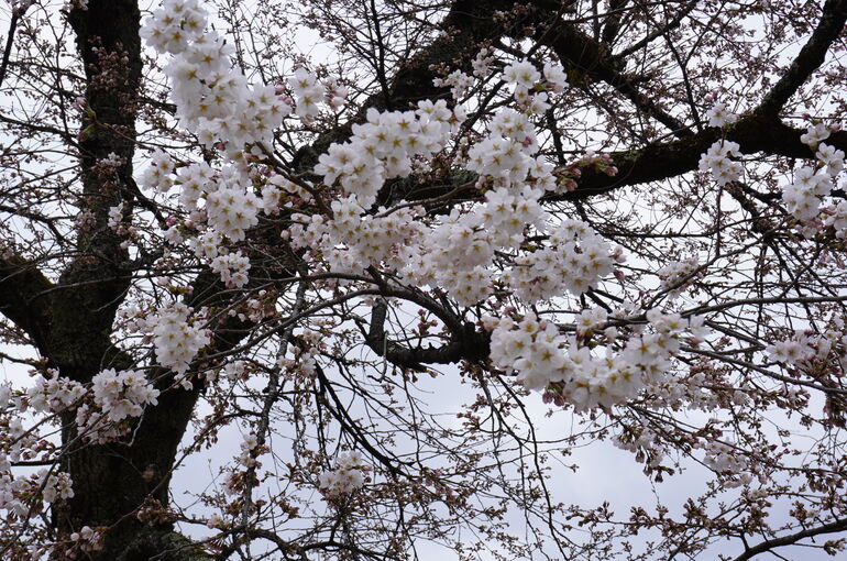 DSC00021