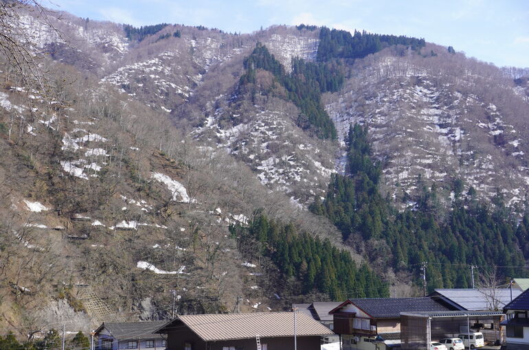 DSC00767